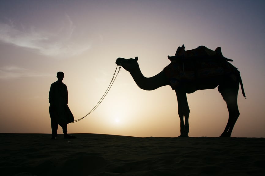 Tie Your Camel: Have Faith and Do Work